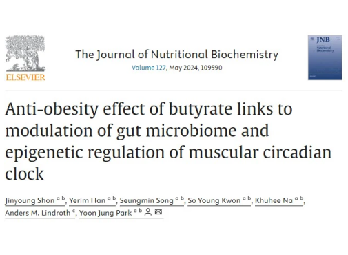 Discover the Anti-Obesity Power of Sodium Butyrate